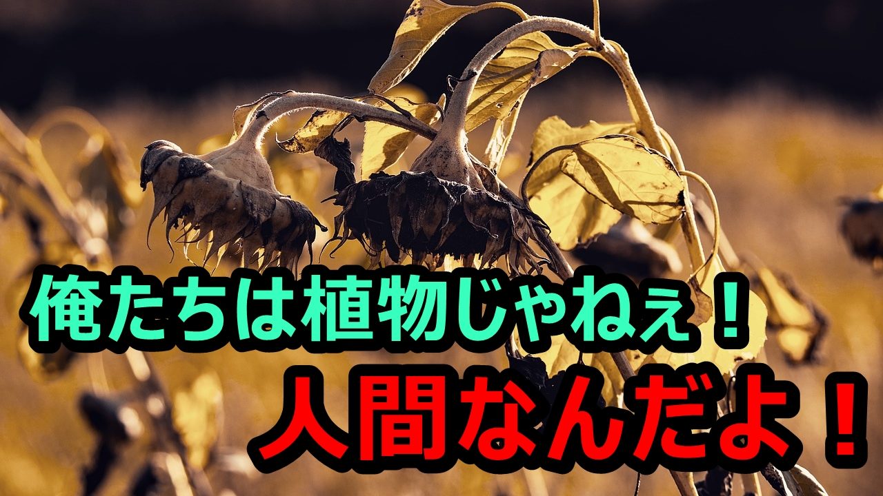 置かれた場所で咲きなさい という考え方は今すぐ捨てて転職せよ Allout